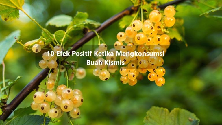 10 Efek Positif Ketika Mengkonsumsi Buah Kismis