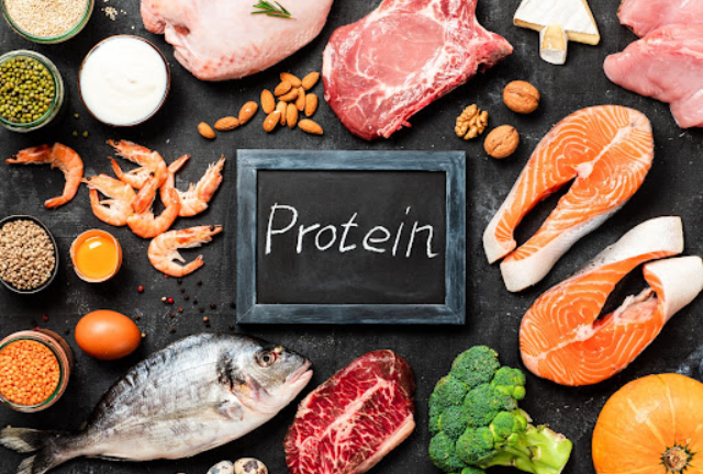 Makanan yang Menghasilkan Protein untuk Tubuh Manusia